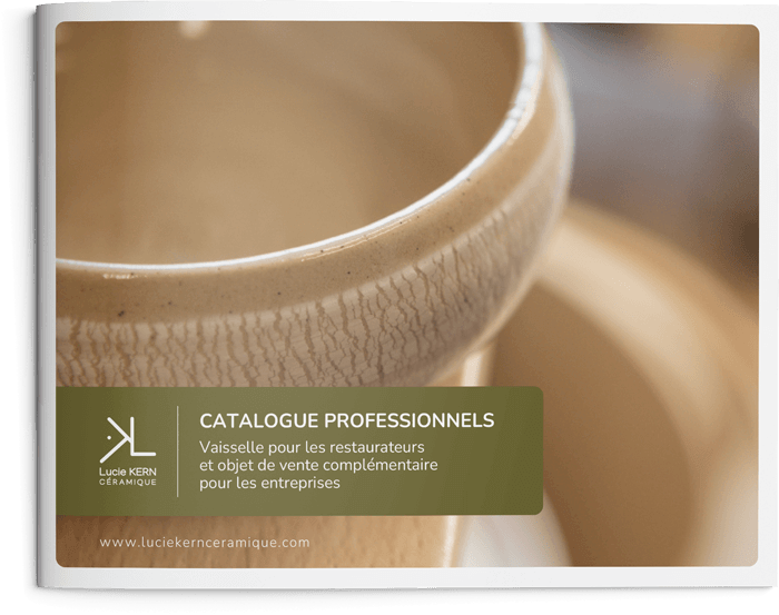couv-catalogue-pros-OK